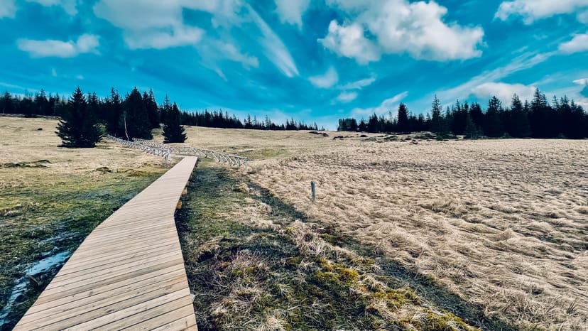 Glade under Śnieżka